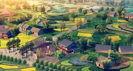 农业庄园不经过策划,就搞规划,结果会怎么样呢?