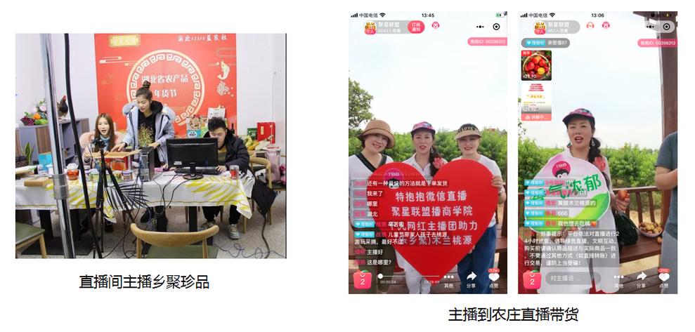 江陵旅游资源开发与文旅项目策划的主营业务解析